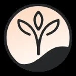Elifly